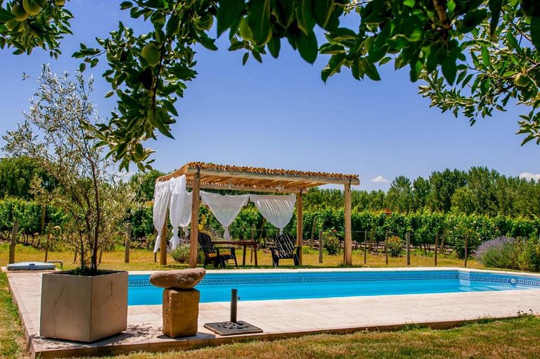 Cottage Complex - In the vineyards